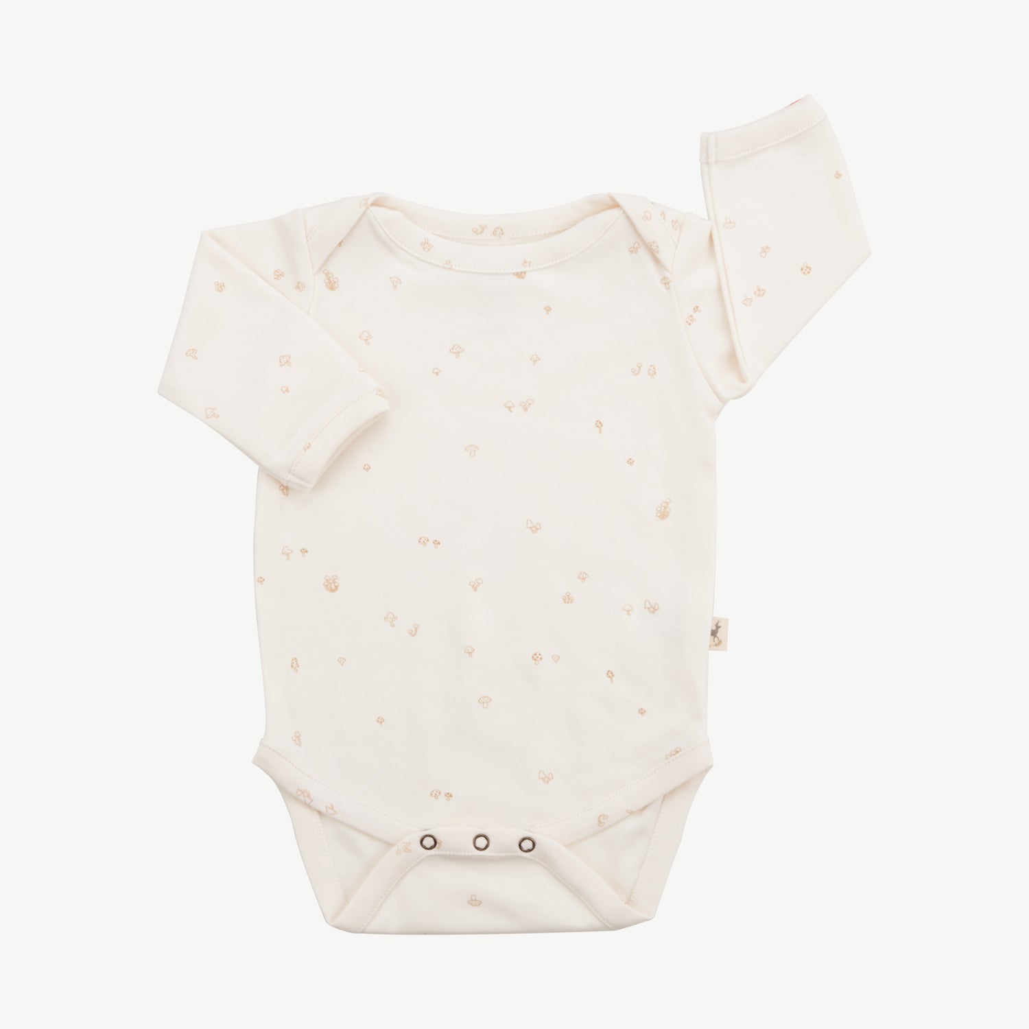 Body - Hongos Crema
