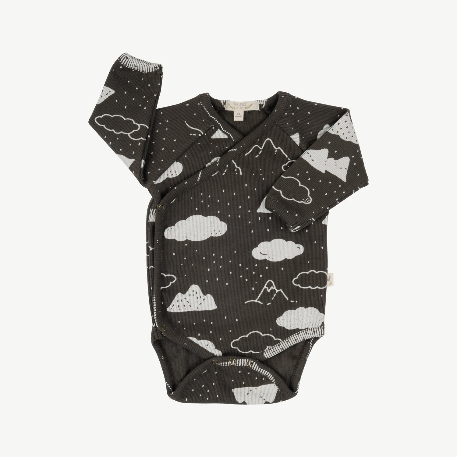 Body rib 'amongst the clouds' beluga