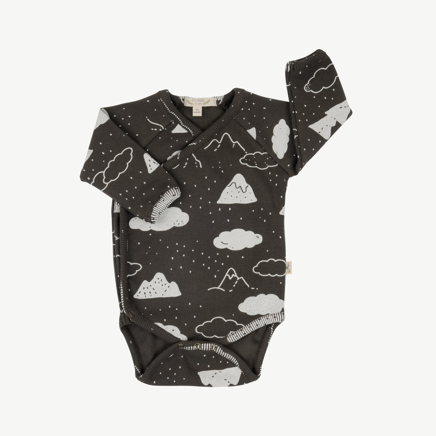 Body rib 'amongst the clouds' beluga