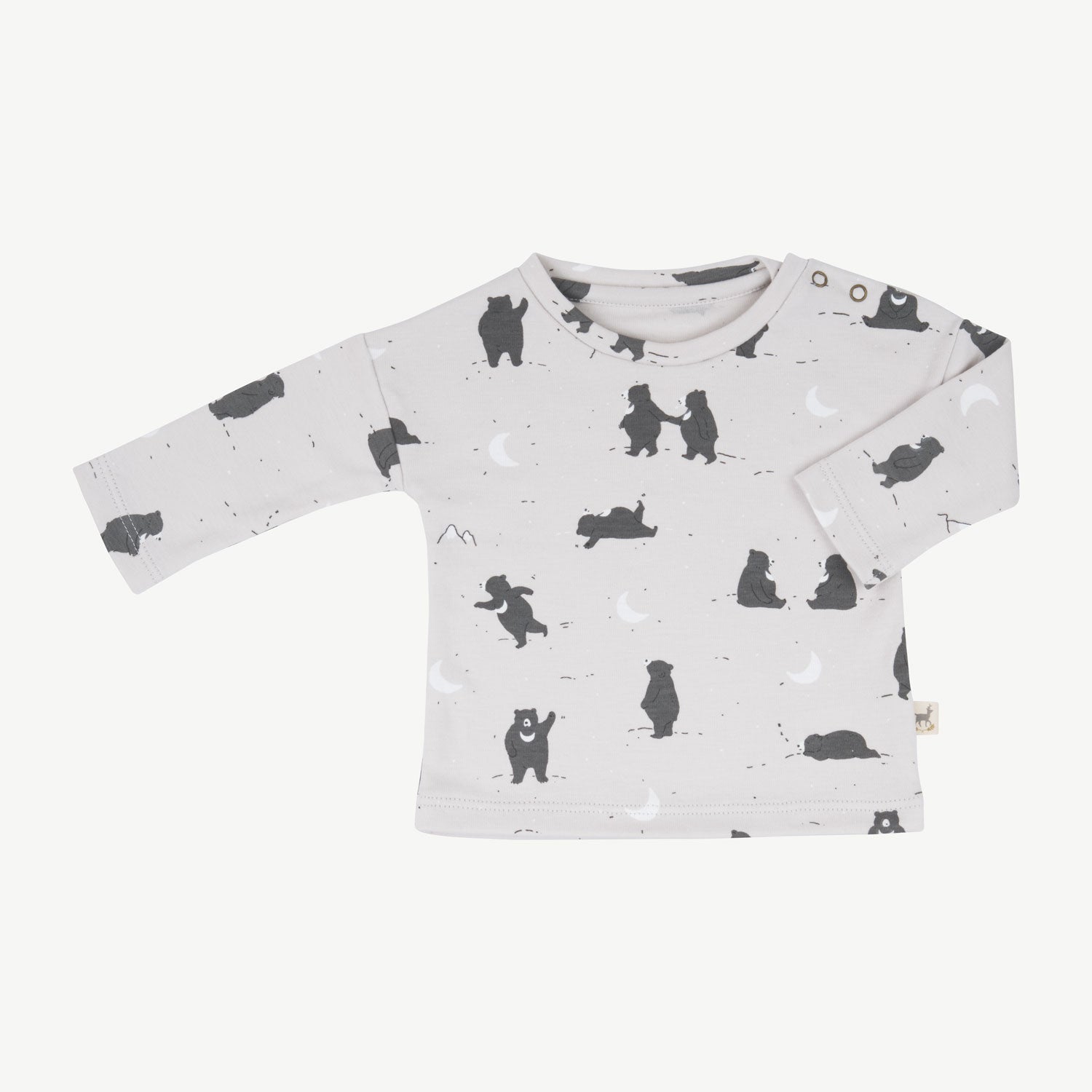 Polo 'magic moonbear' lunar rock