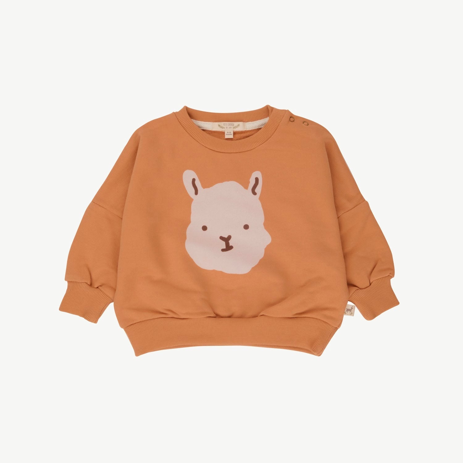 Polera - Alpaca face - Doe