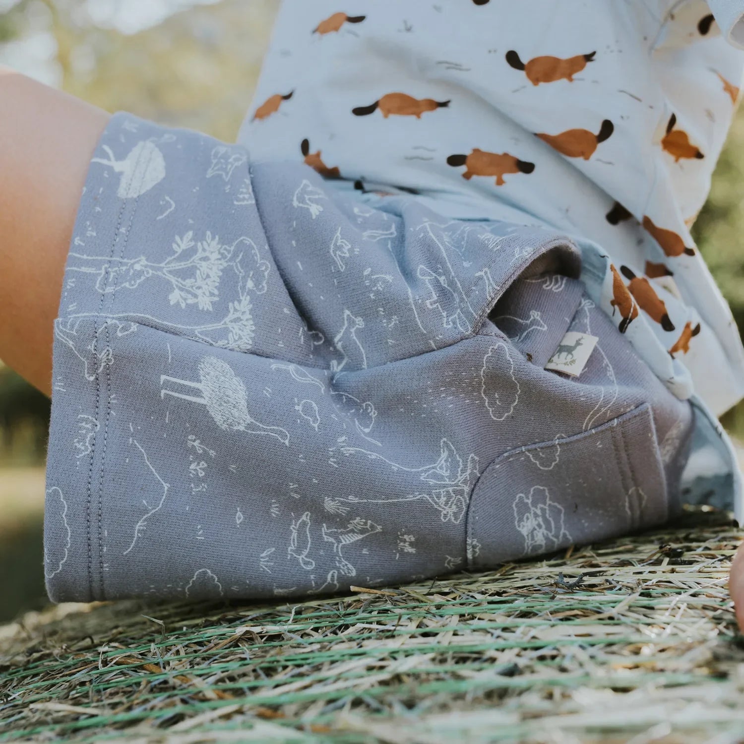 Shorts Gris Lavanda - Historia