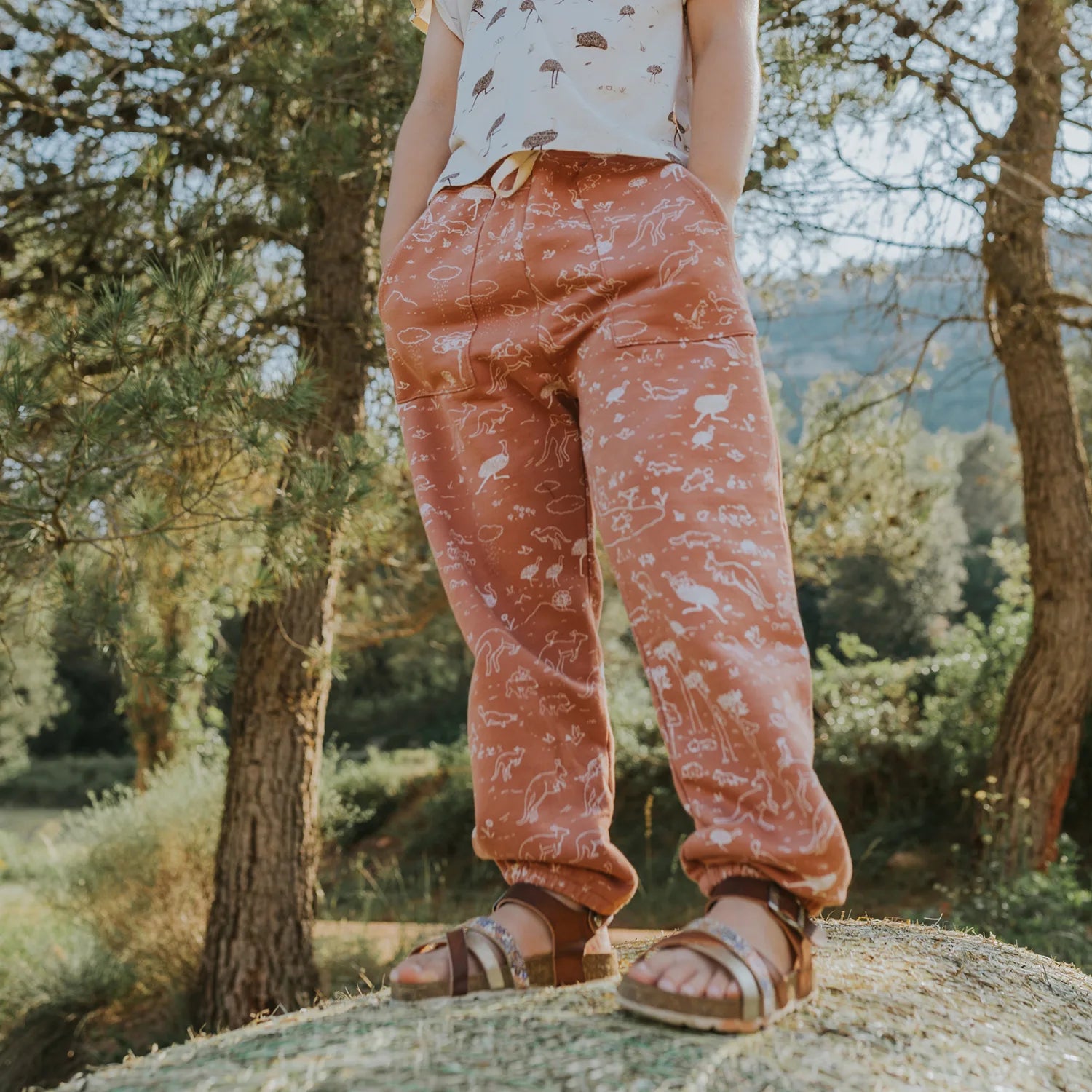 Joggers Moca - Historia