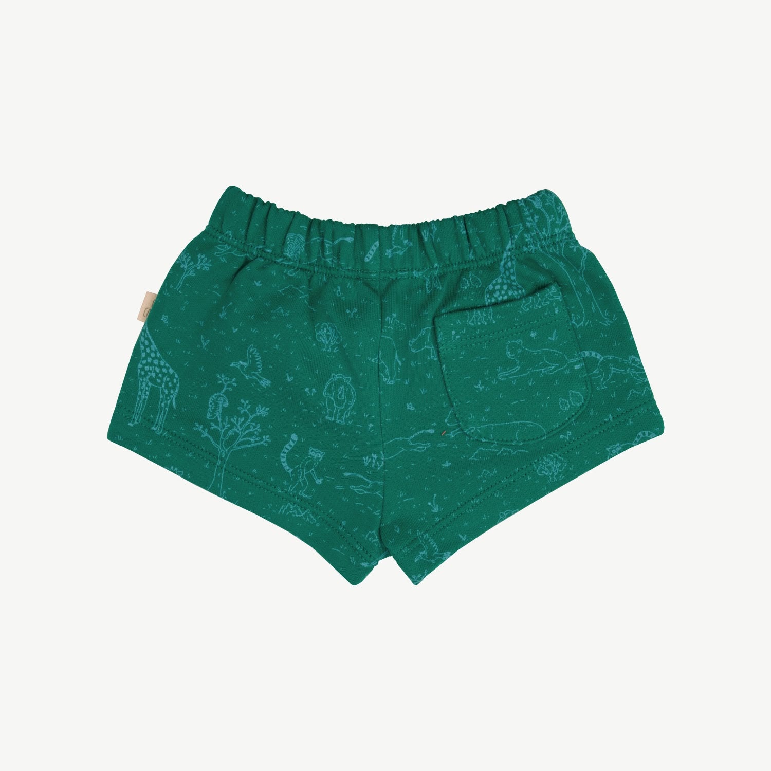 Shorts - Historia - Esmeralda