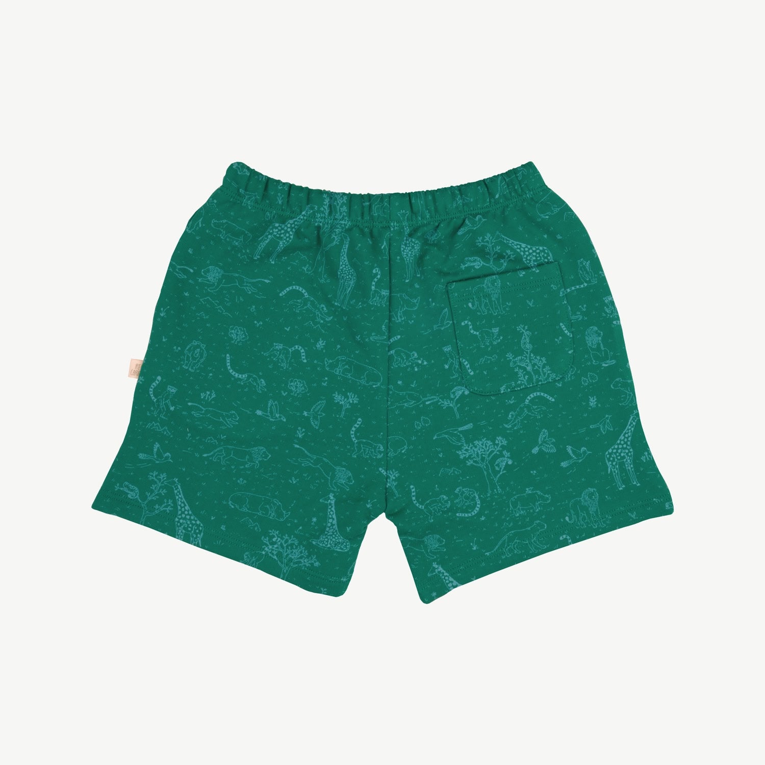 Shorts - Historia - Esmeralda