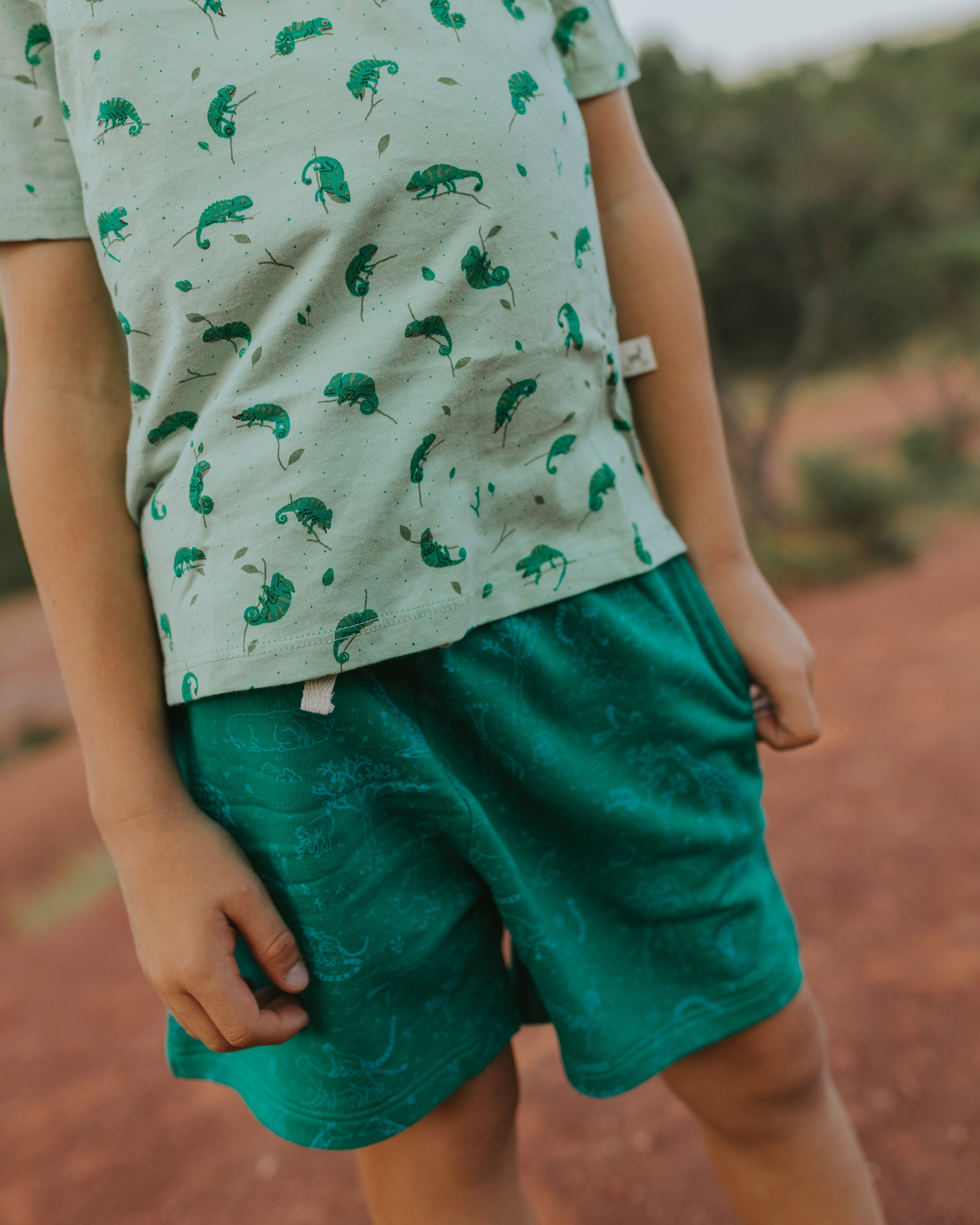 Shorts - Historia - Esmeralda