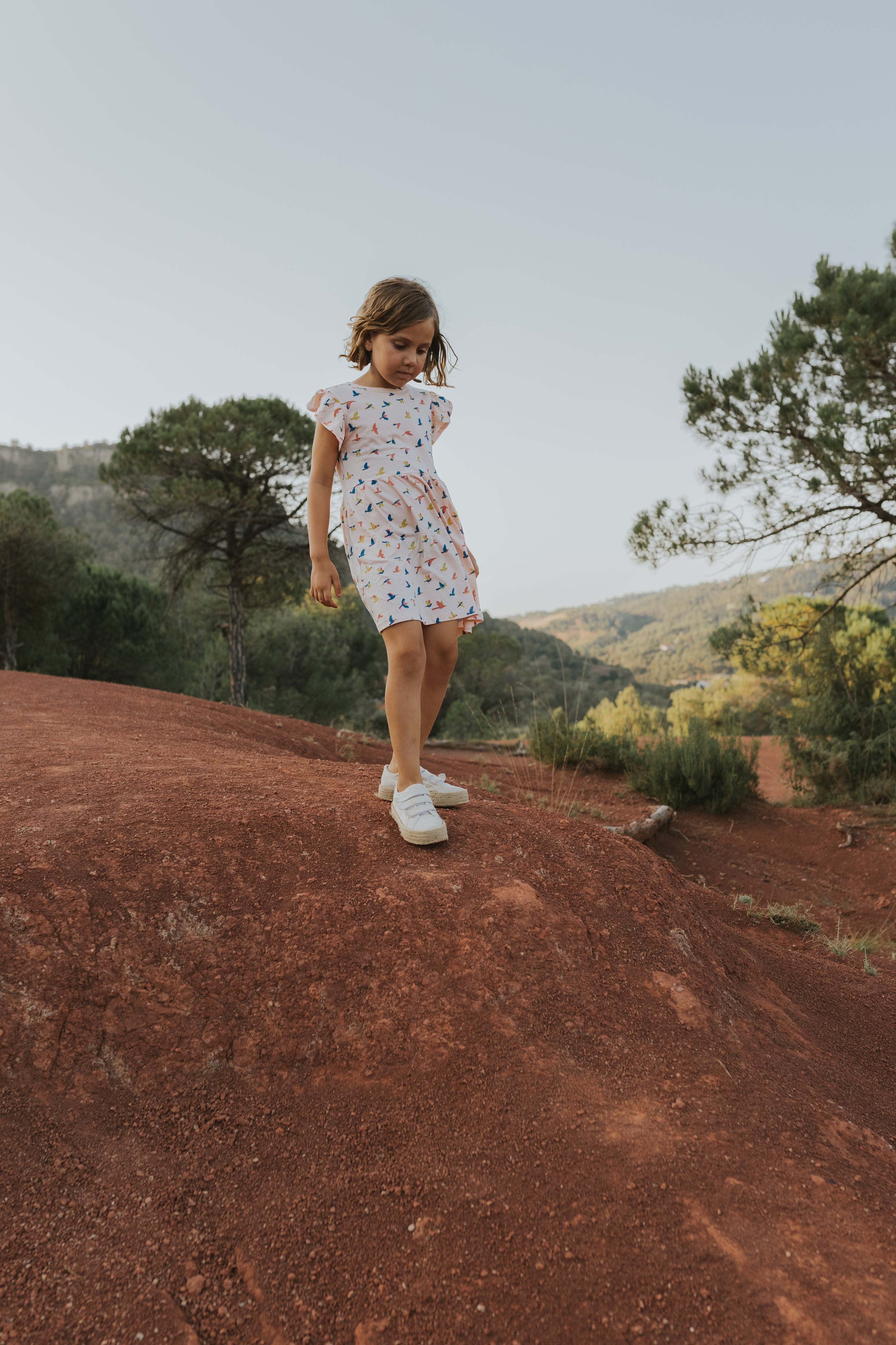 Vestido Mangas con Volante - Aves - Durazno Suave