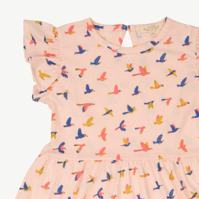 Vestido Mangas con Volante - Aves - Durazno Suave