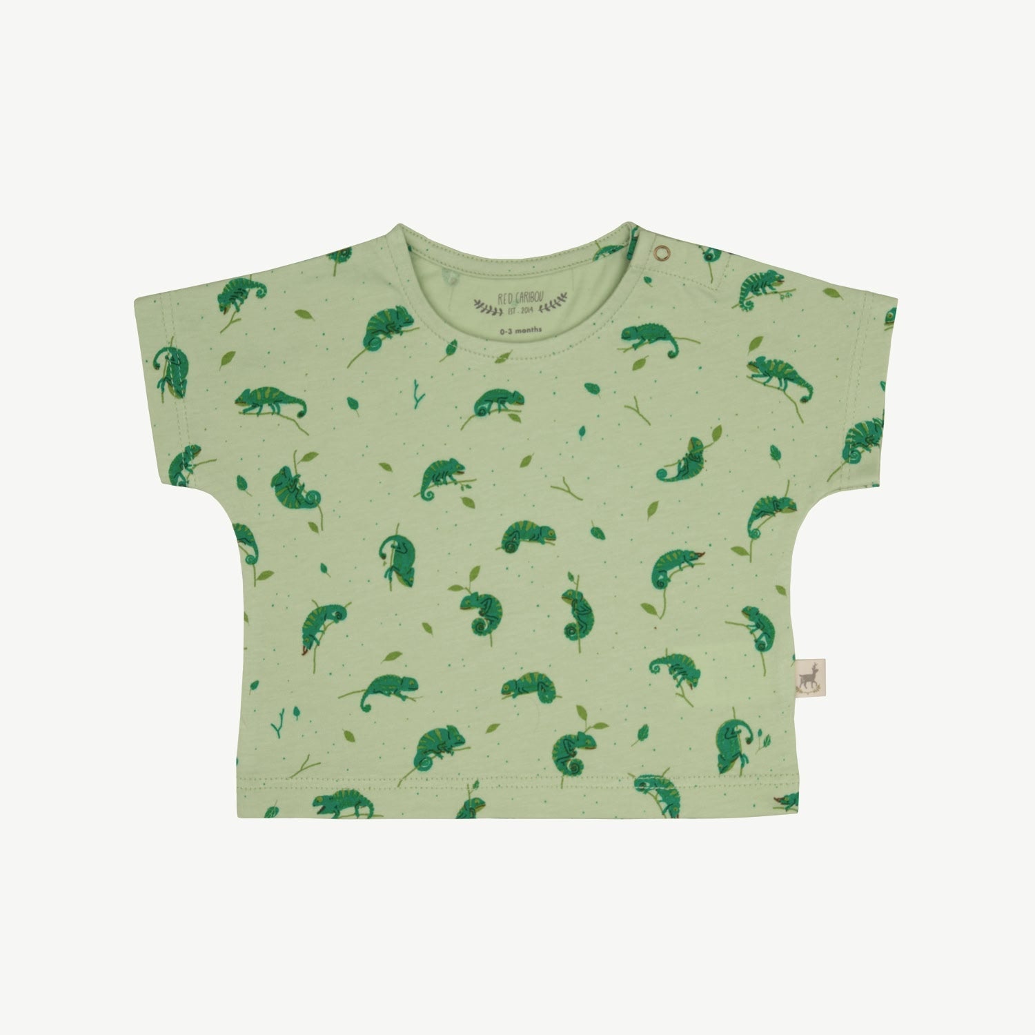T-shirt Manga Corta - Camaleones - Verde Claro