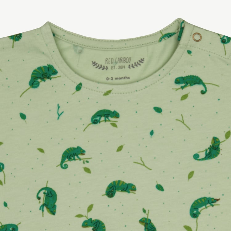 T-shirt Manga Corta - Camaleones - Verde Claro