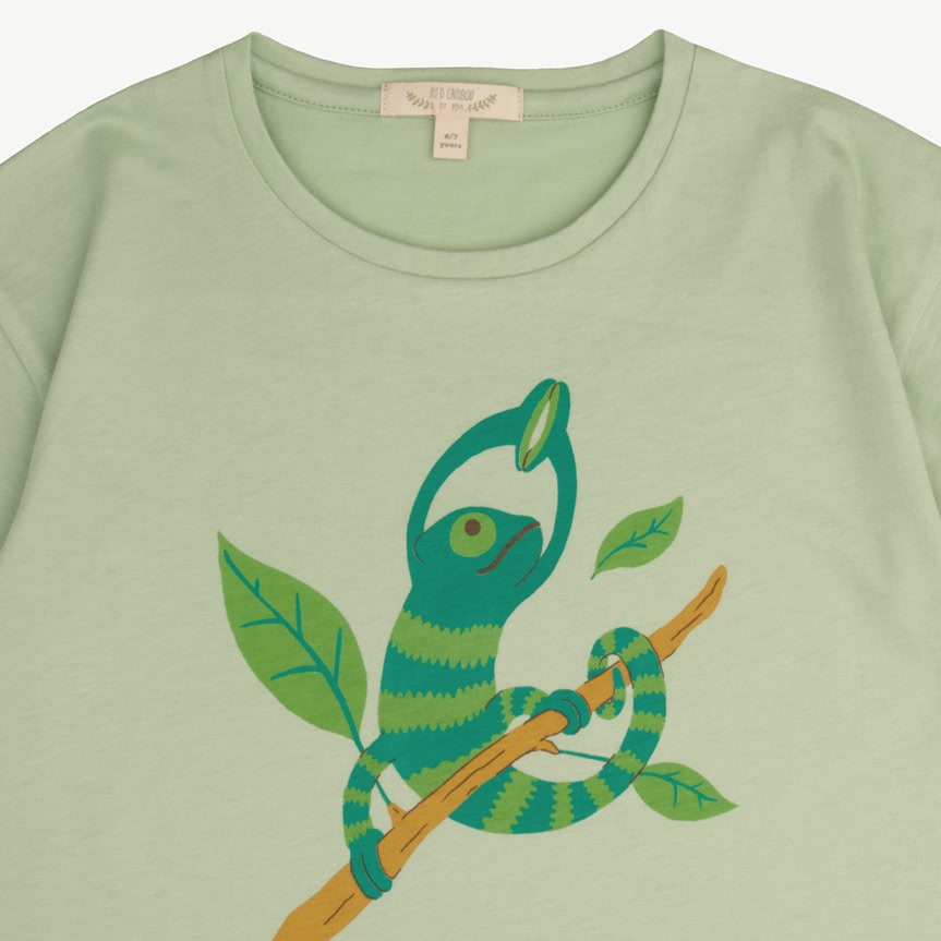 T-shirt Manga Corta - Camaleón - Verde Claro