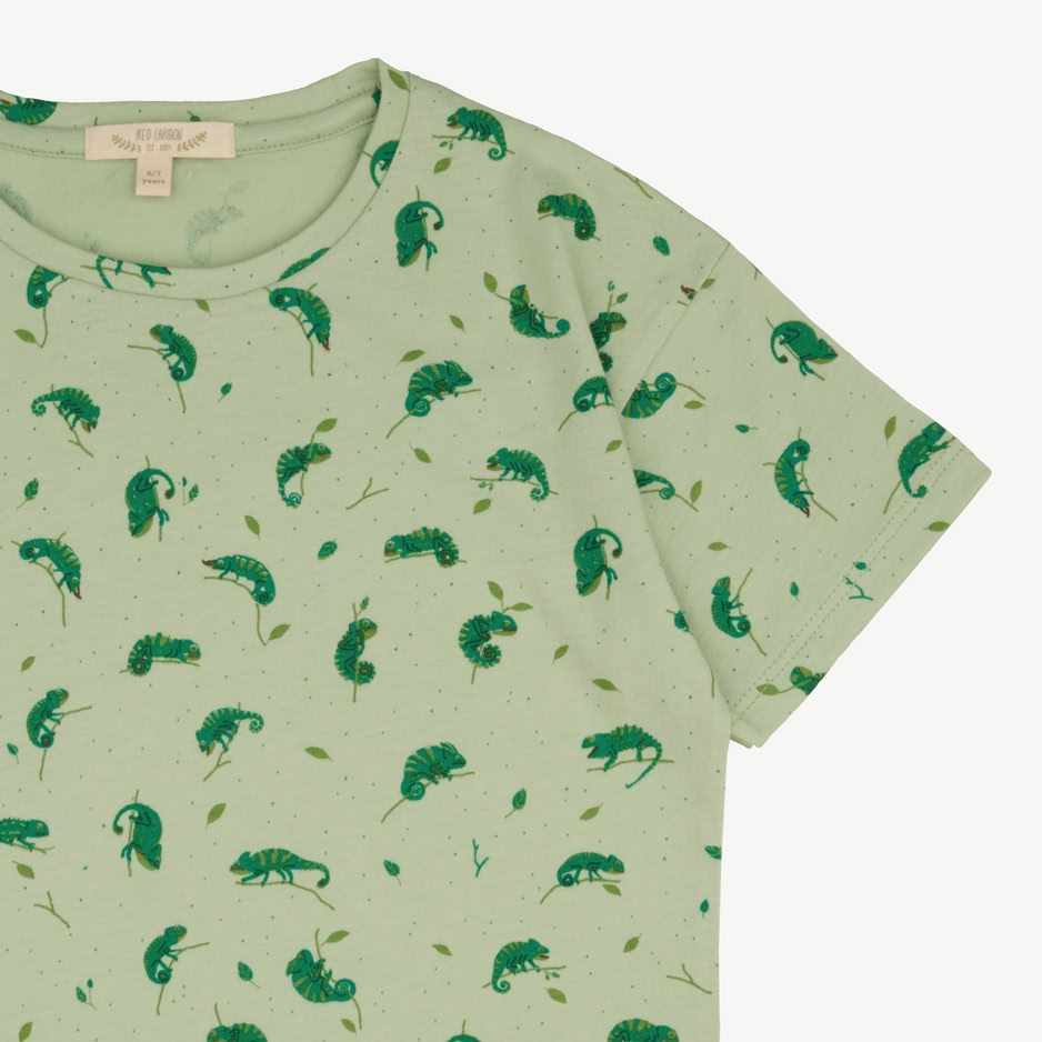 T-shirt Manga Corta - Camaleones - Verde Claro