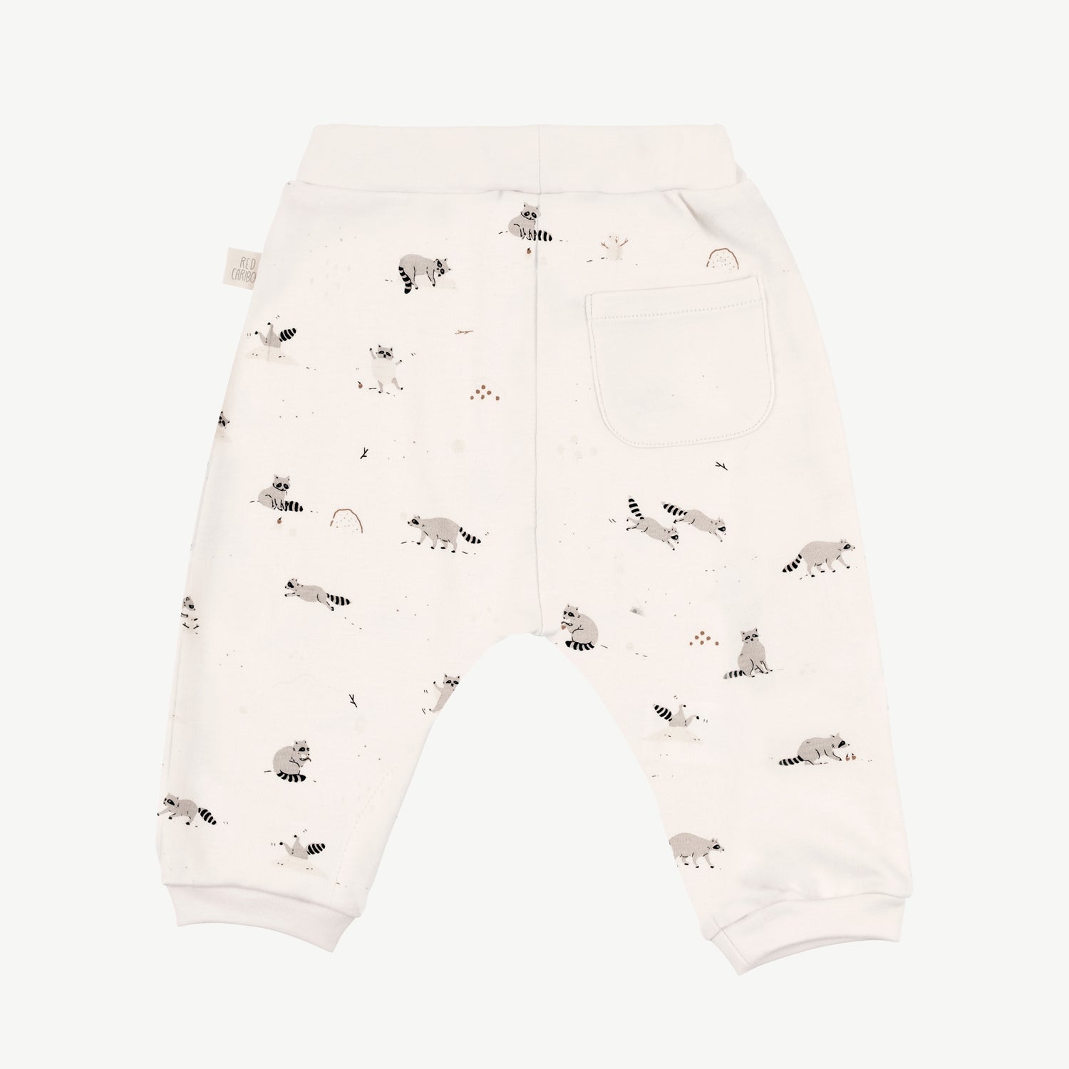 Pantalón 'frolicsome raccoons' sea salt