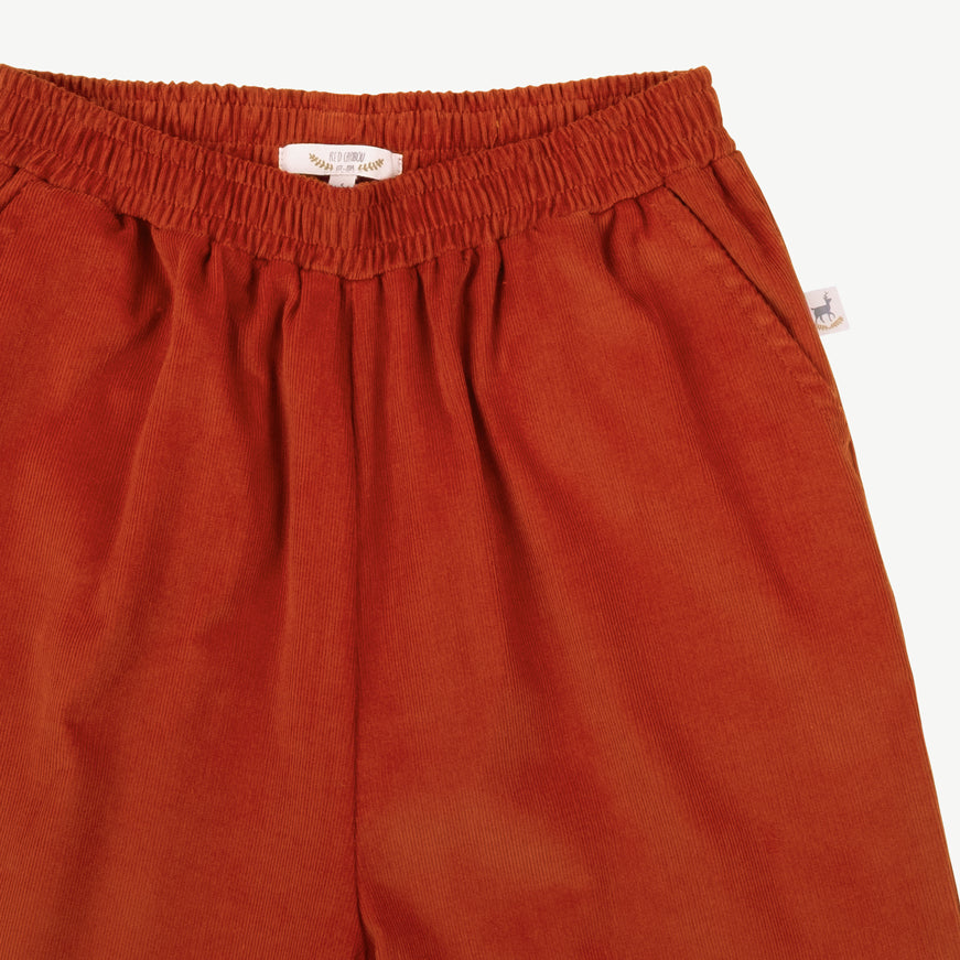 Pantalón corduroy 'amazed racoon' autum glaze