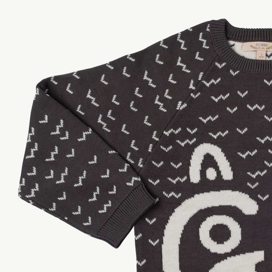 Chompa tejida 'sneaky racoon' dark shadow