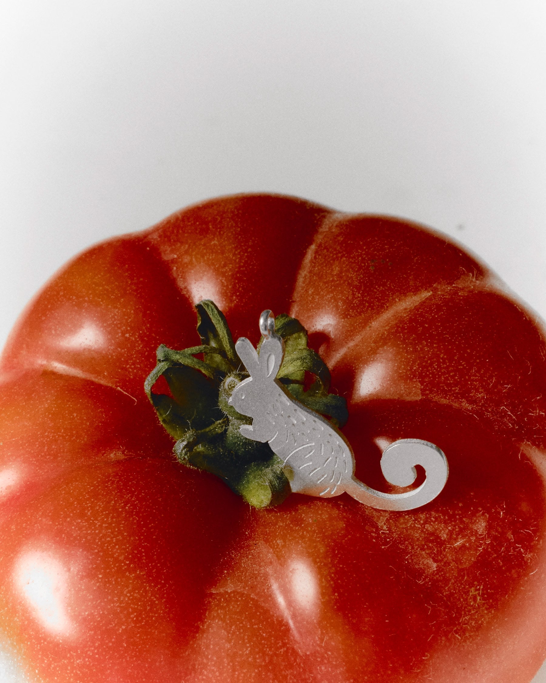 Collar Dije Vizcacha