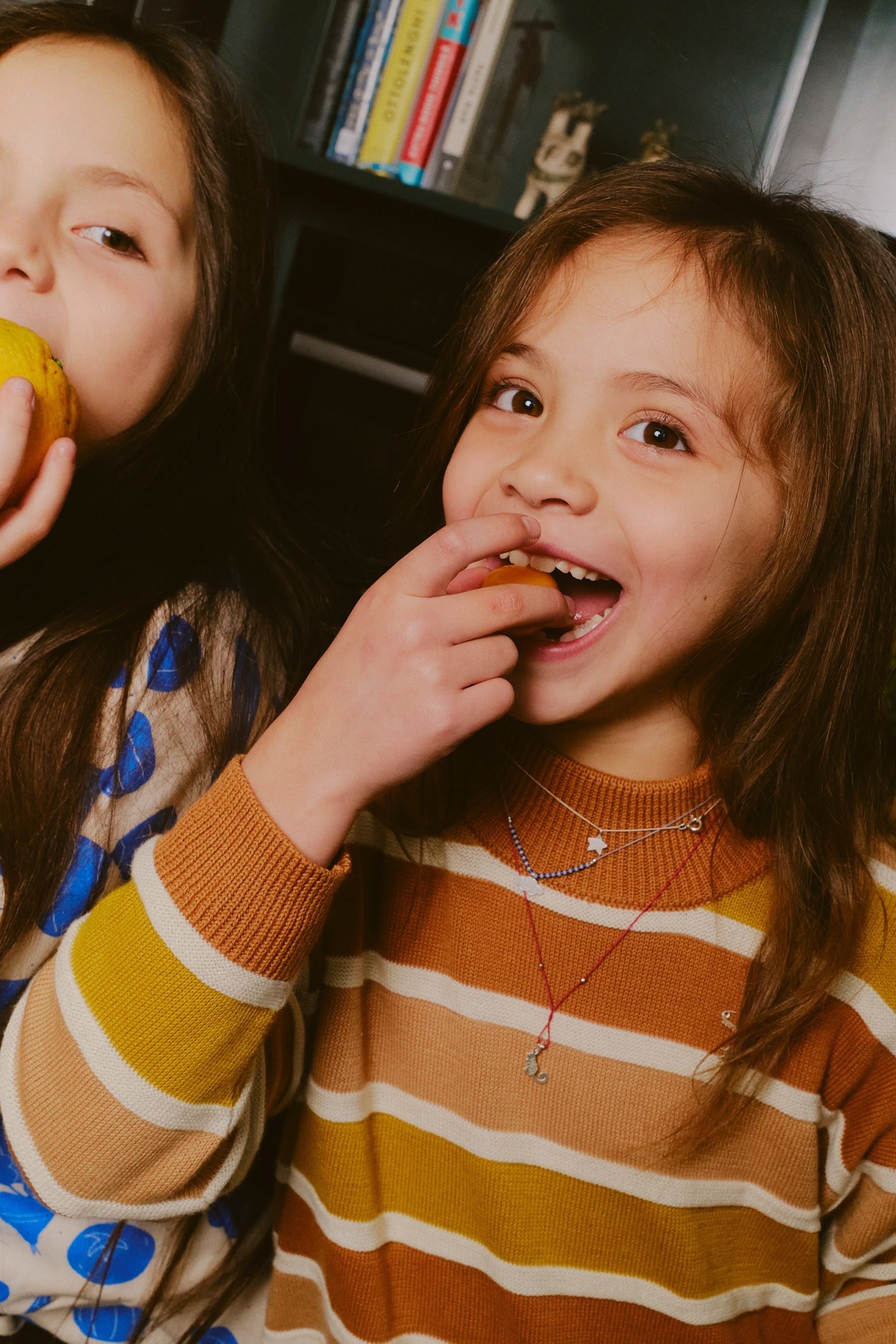 Collar Dije Vizcacha