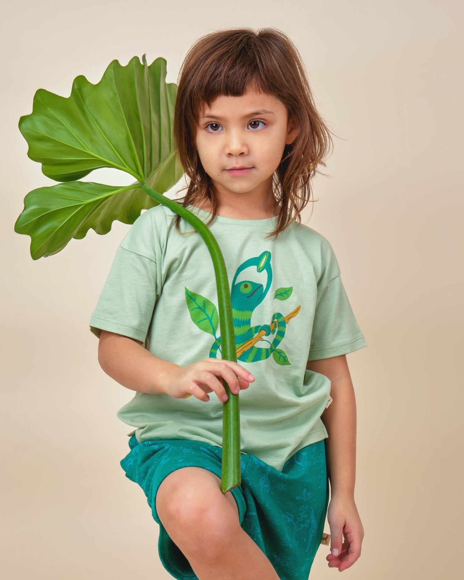 T-shirt Manga Corta - Camaleón - Verde Claro