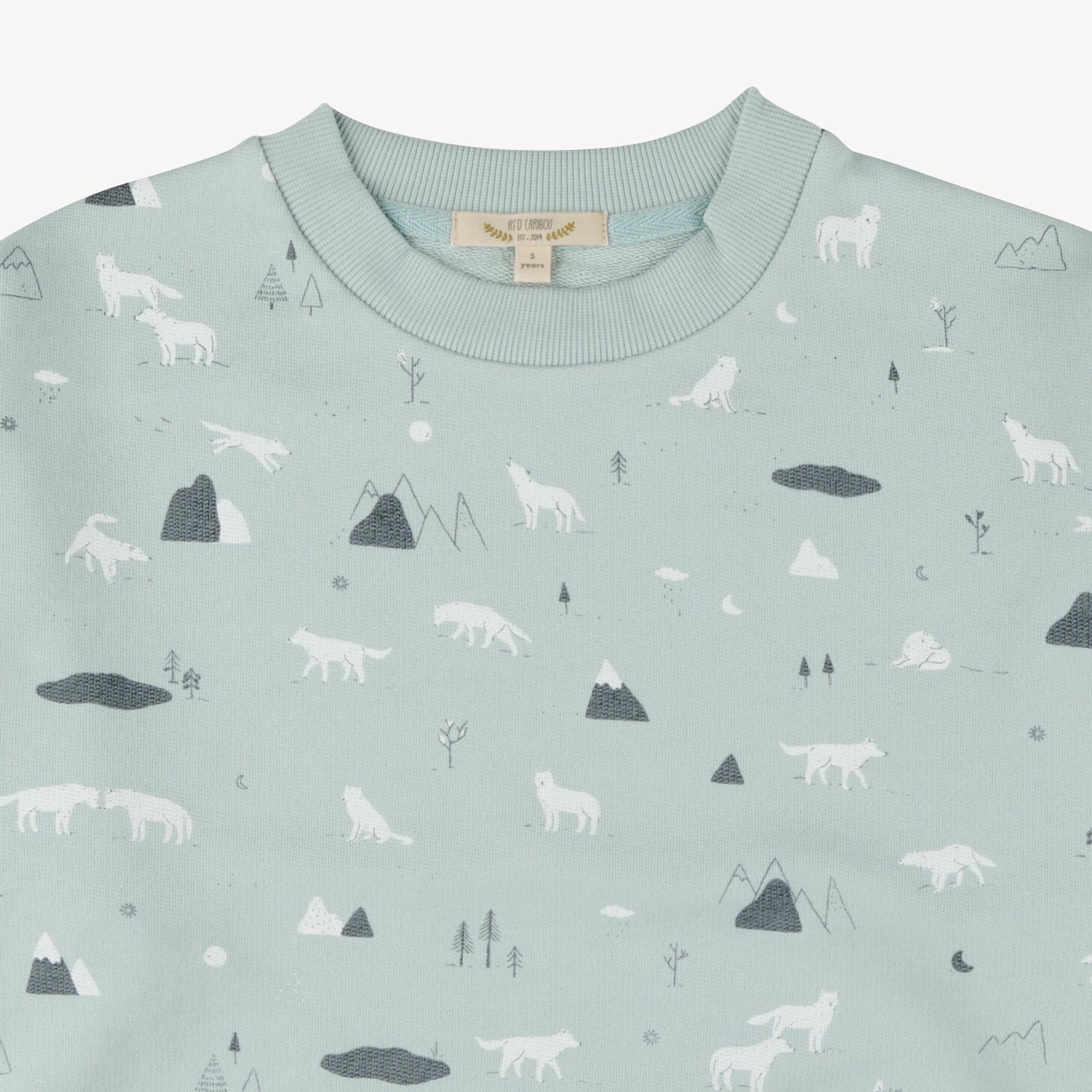 Sweatshirt 'guardian wolves' gray mist
