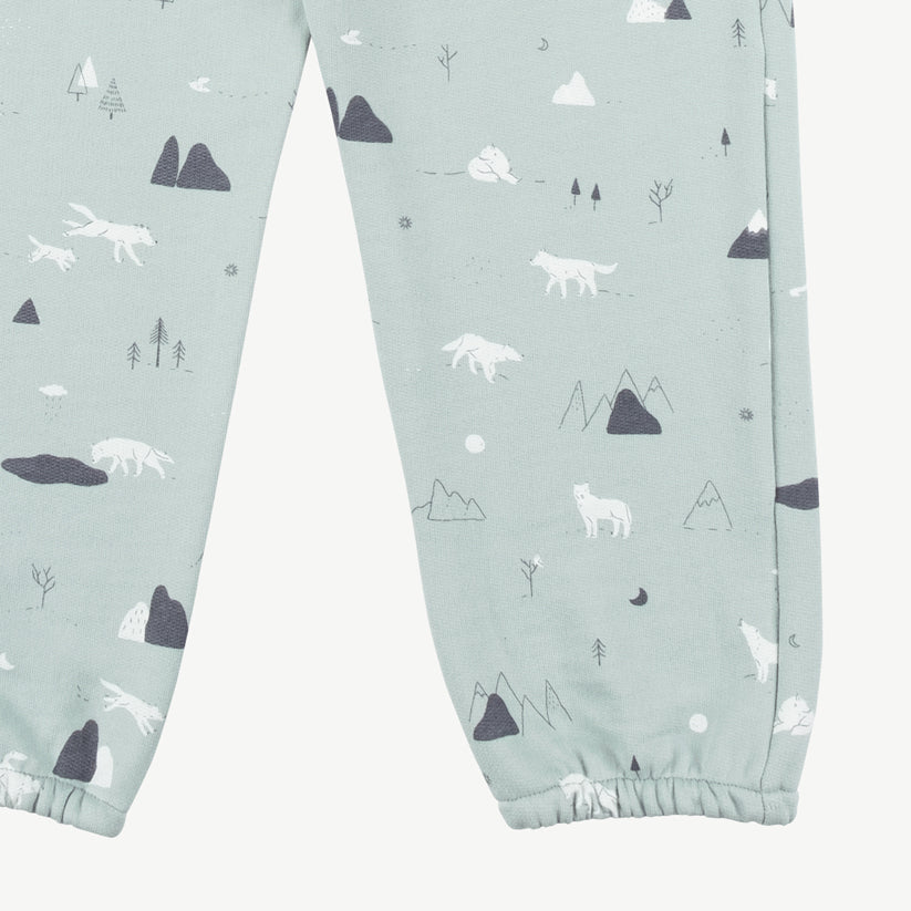 Jogger 'guardian wolves' gray mist