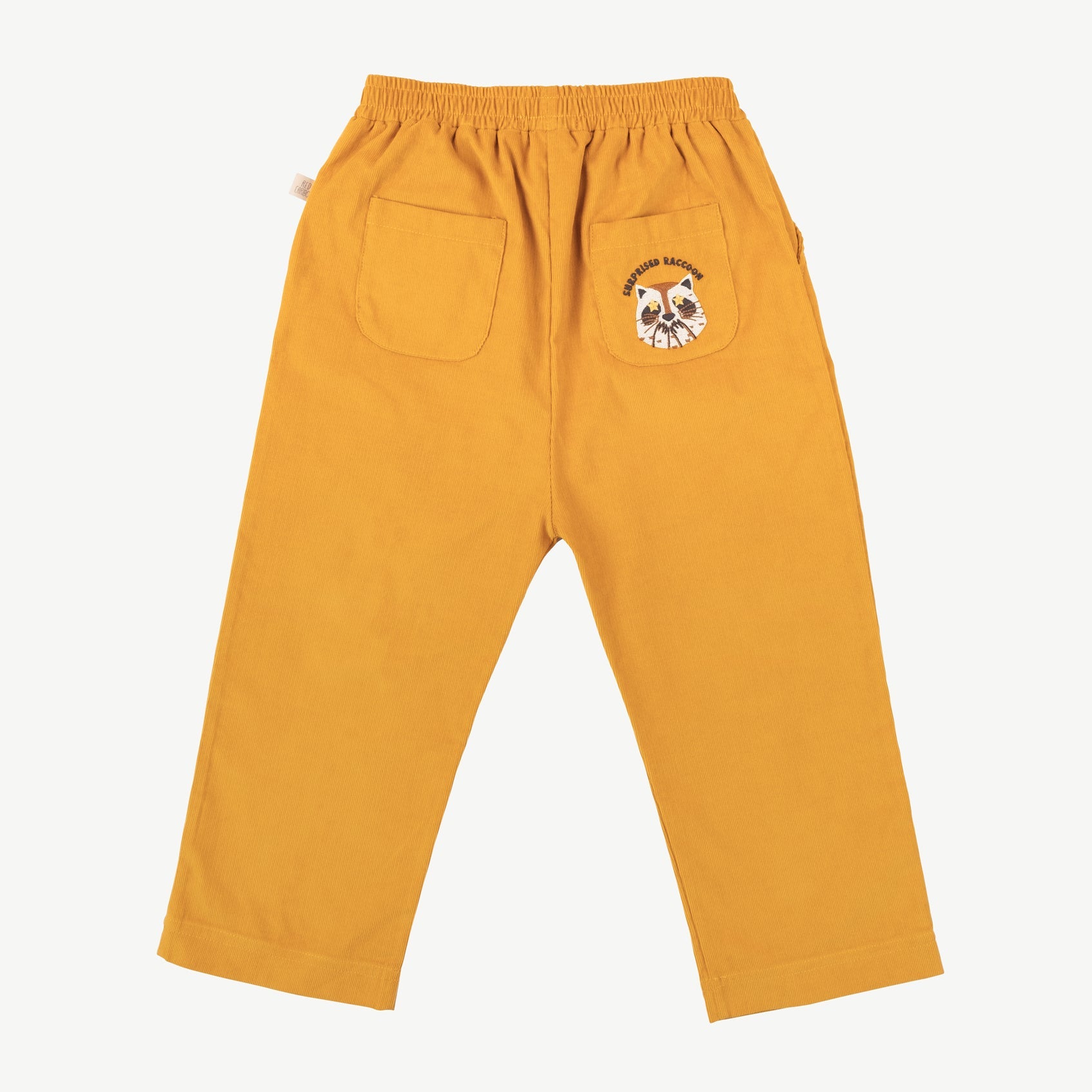 Pantalón corduroy 'amazed racoon' arrowwood