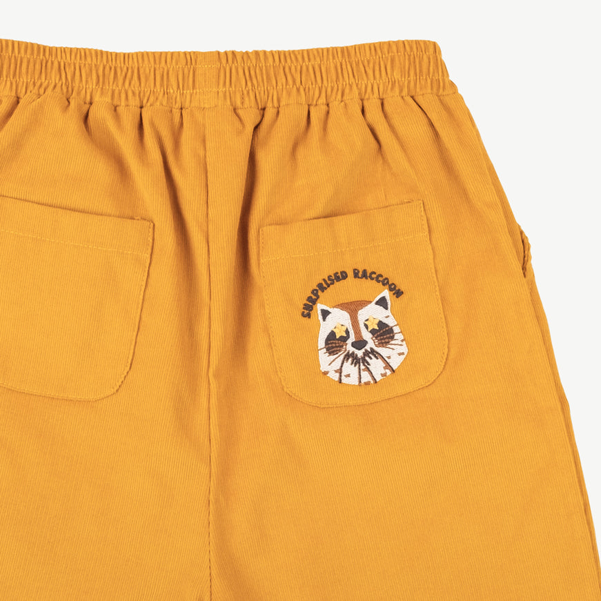 Pantalón corduroy 'amazed racoon' arrowwood