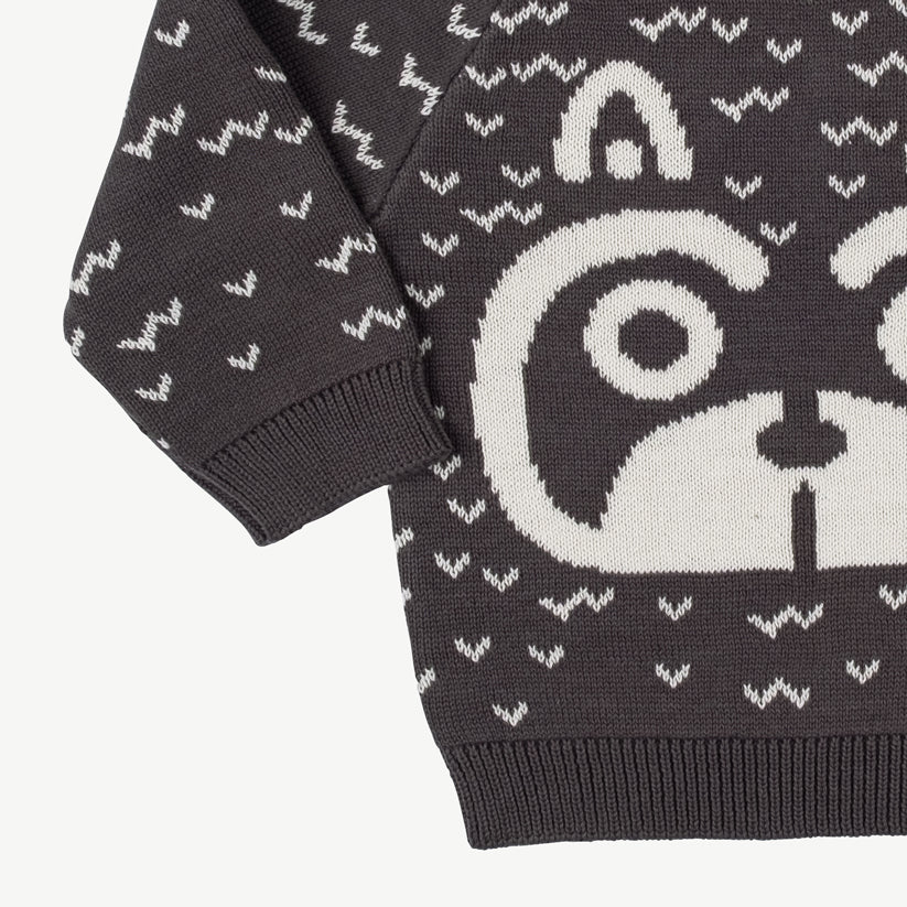 Chompa tejida 'sneaky racoon' dark shadow