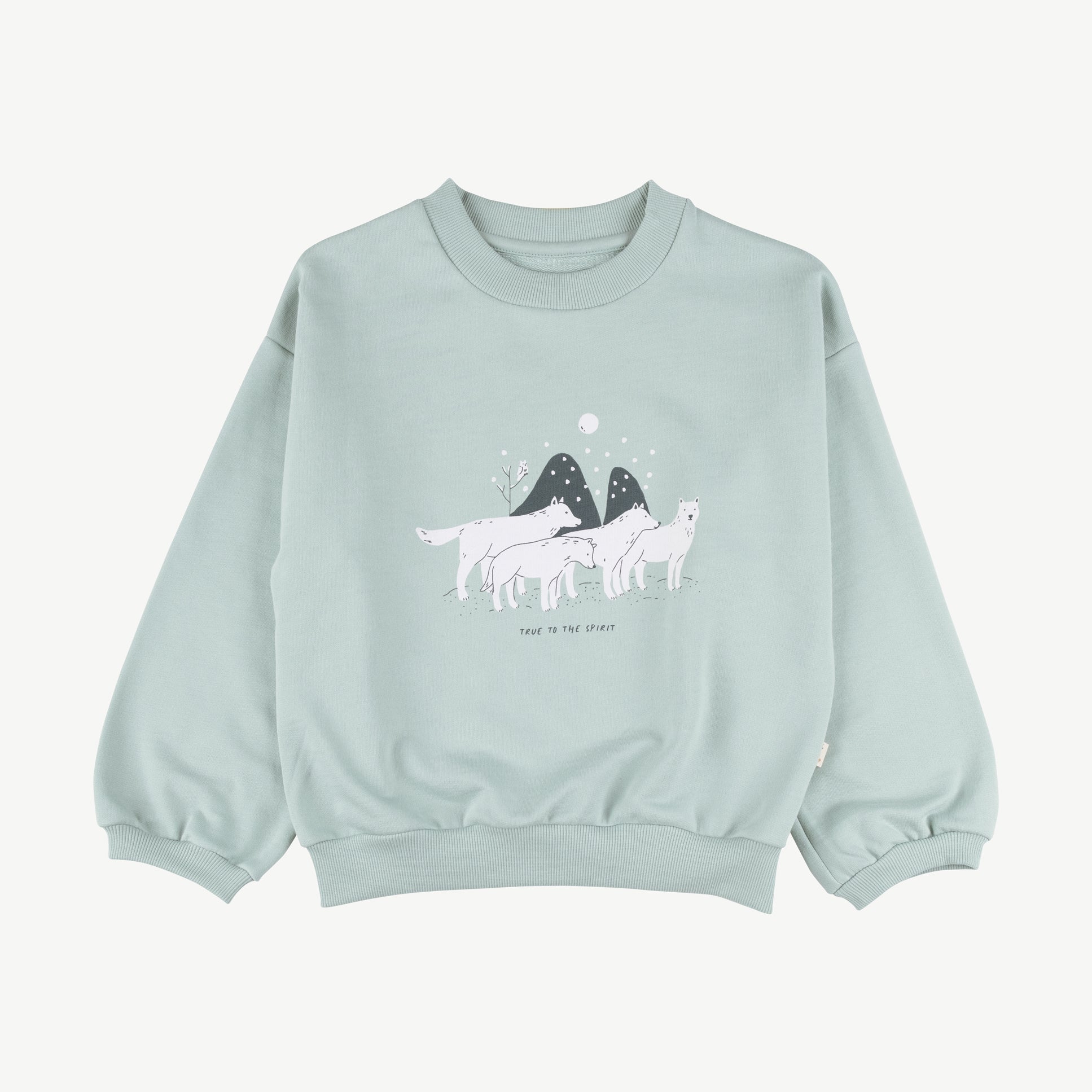 Sweatshirt 'true to the spirit' gray mist