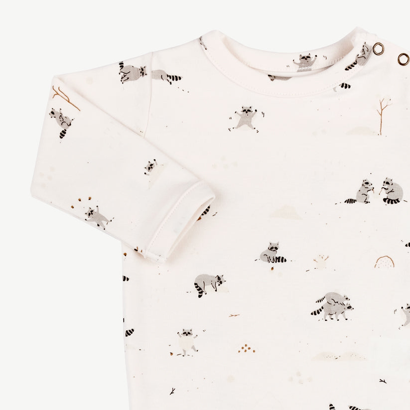 Body 'frolicsome raccoons' sea salt