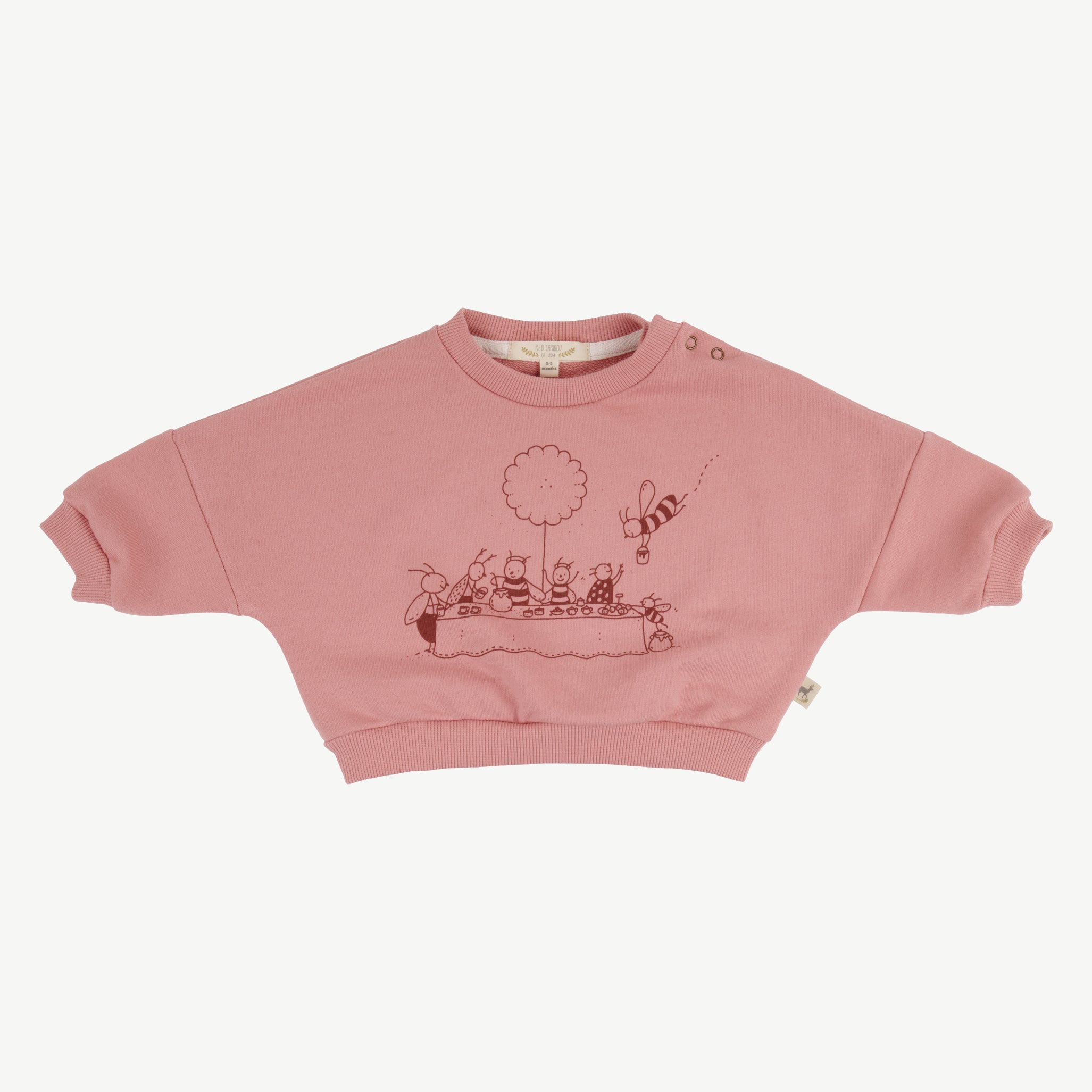 Sudadera 'garden carnival' ash rose