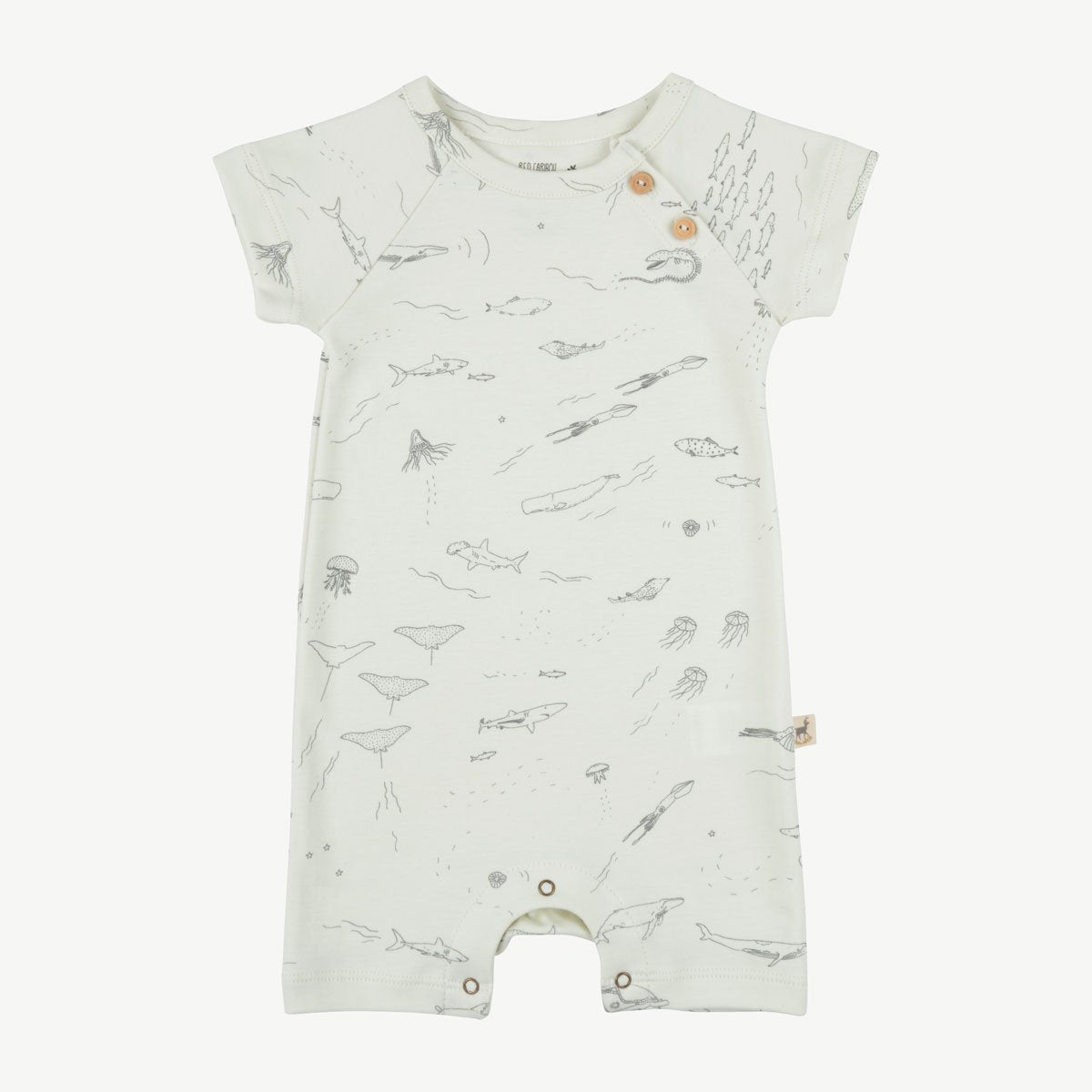 Enterizo 'the story' water lily